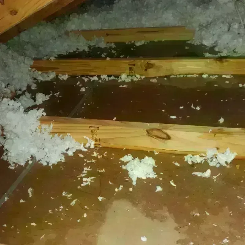 Attic Water Damage in Lowesville, NC